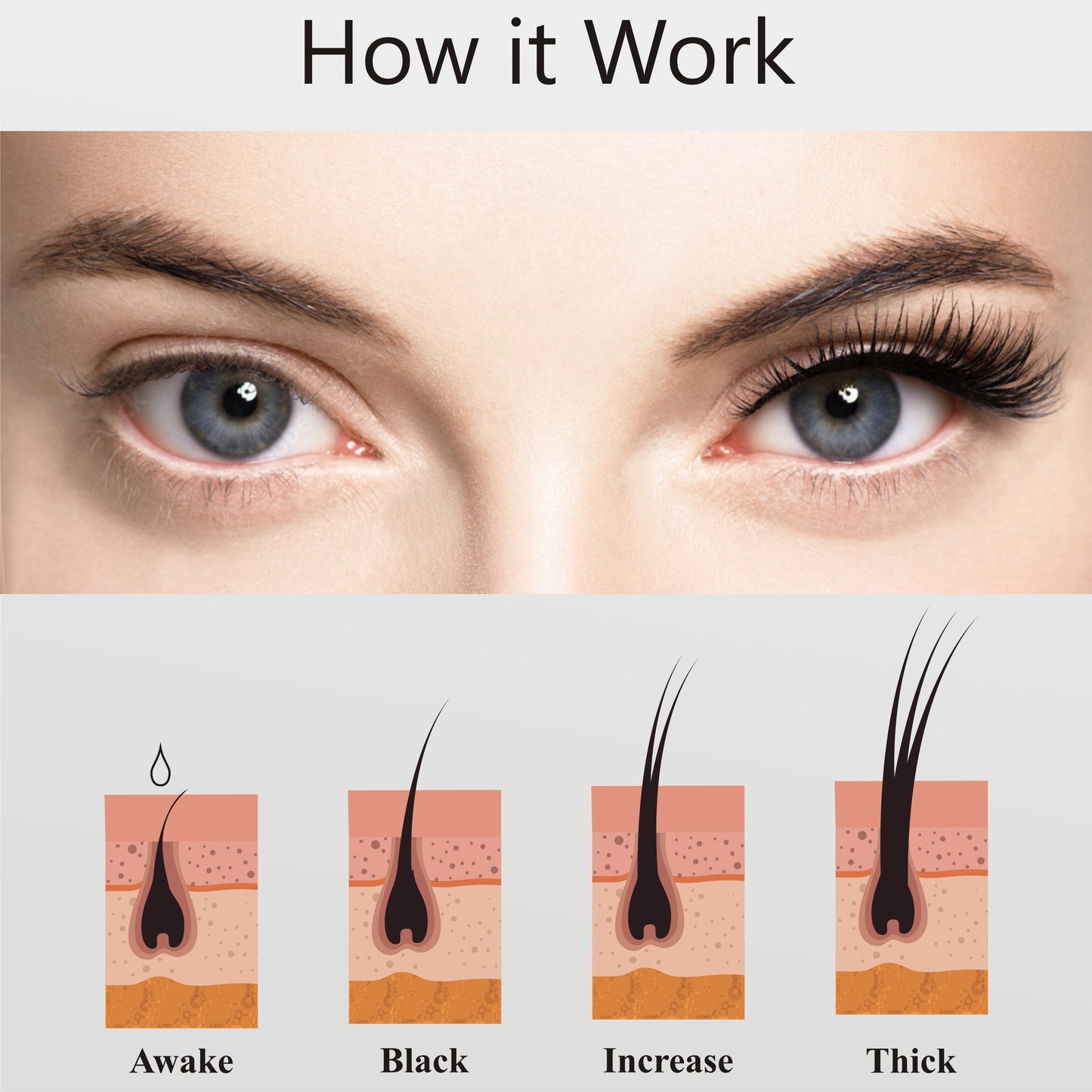 eyelashes growth serum , eyebrows growth serum , eyelashes promoter serum , eyebrows promoter serum , serum for eye brows , serum for eyelashes , beautiful eyelashes serum , eye brows serum